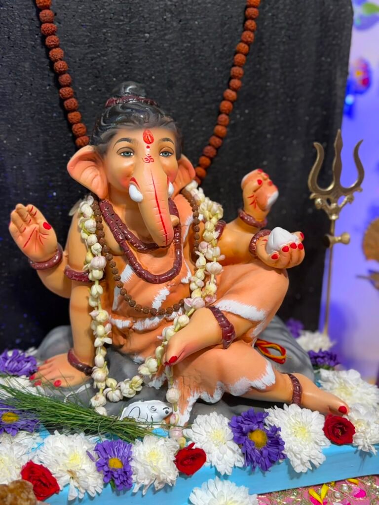 गणेश चतुर्थी पर जालंधर कैंट में जगह-जगह विराजमान हुए गणपति बप्पा
